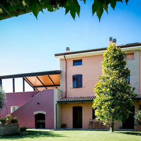 Vite - Uva Apartamento Fano