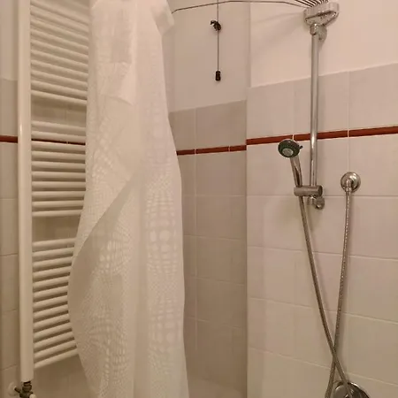Vite - Uva * Fano
